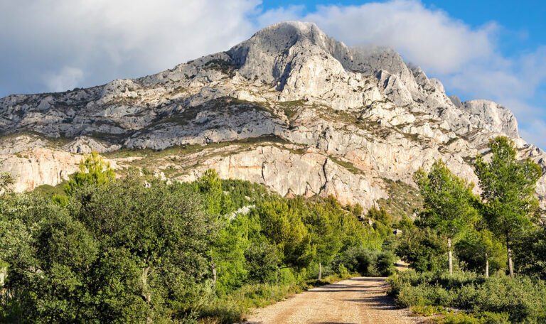 Paysage provençal avec un chemin de terre entouré de végétation luxuriante et la montagne Sainte-Victoire en arrière-plan sous un ciel bleu.